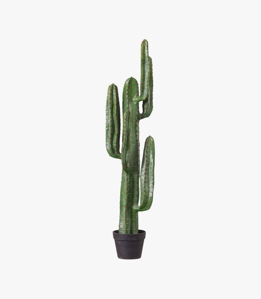 Faux Desert Cactus