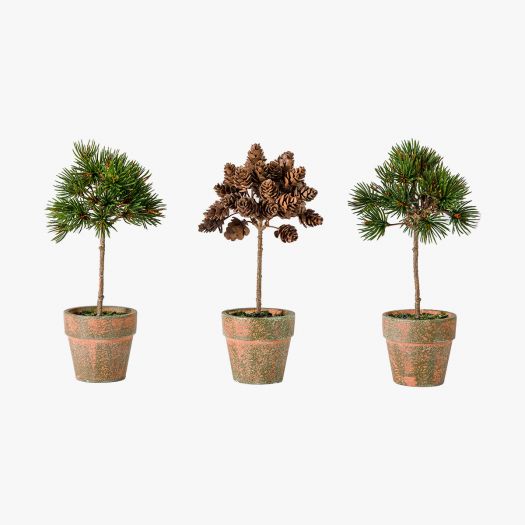 Gathered Potted Pine Trees and Cones - Set of 3