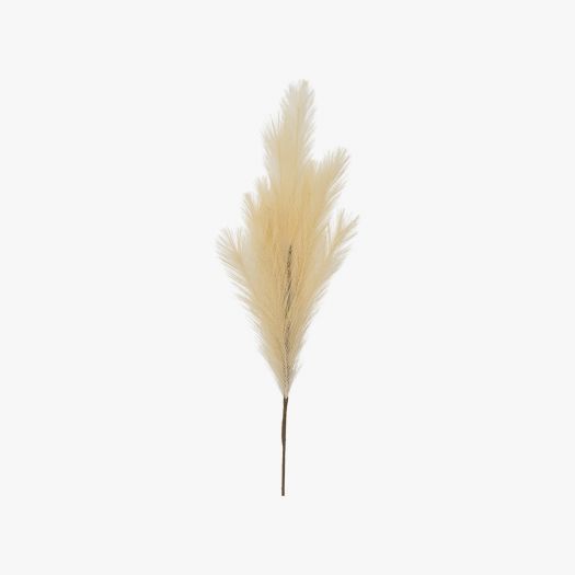 Stipa Feathered Spray in Ivory - Pack of 6